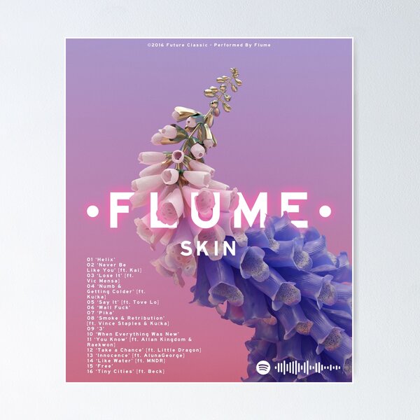 The original takes for Skins album art : r/Flume