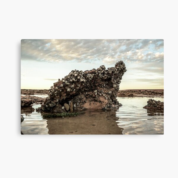 James Price Point 1 Canvas Print