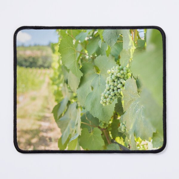 Item preview, Okanagan Valley Grapevines and Blue Sky in Summer designed and sold by Amy Mitchell.