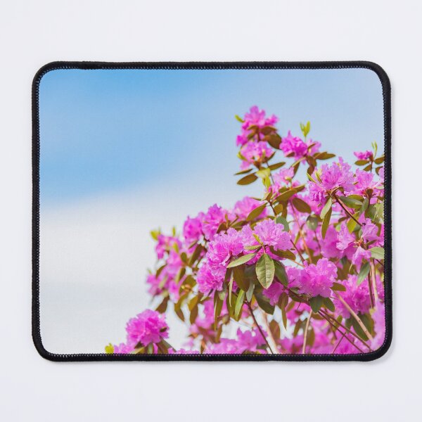 Item preview, Vibrant Pink Rhododendron Blossoms and Blue Sky designed and sold by Amy Mitchell.
