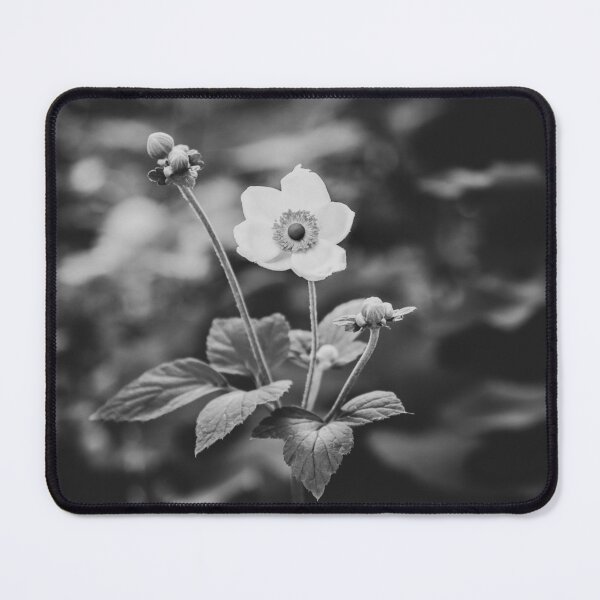 Item preview, Black and White Japanese Anemone Flower designed and sold by Amy Mitchell.