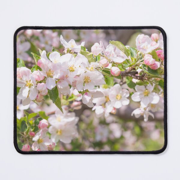 Item preview, Springtime Pink Apple Blossoms - Okanagan Valley designed and sold by Amy Mitchell.