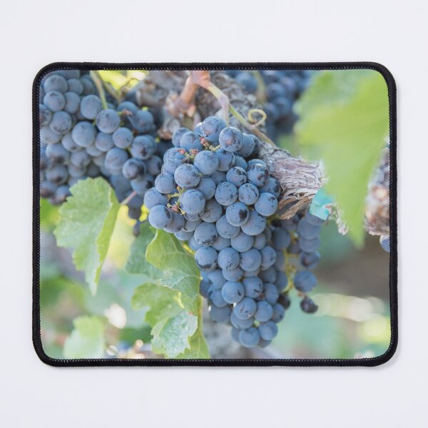Item preview, Summer Grapes on the Vine in the Okanagan Valley designed and sold by Amy Mitchell.