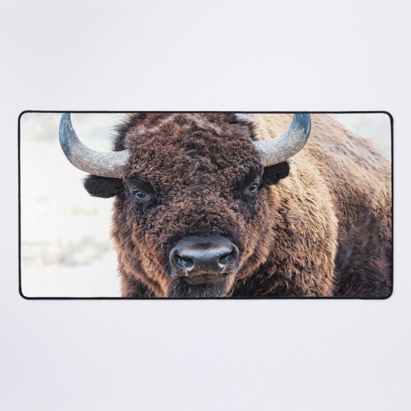 Item preview, American Bison - A Living National Treasure designed and sold by Rocky Mountain Artistry.