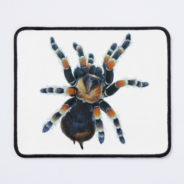 Item preview, Tarantula  designed and sold by Salmoneggs.