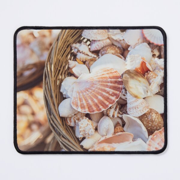 Item preview, Beautiful Seashells in Baskets in White Rock, BC designed and sold by Amy Mitchell.
