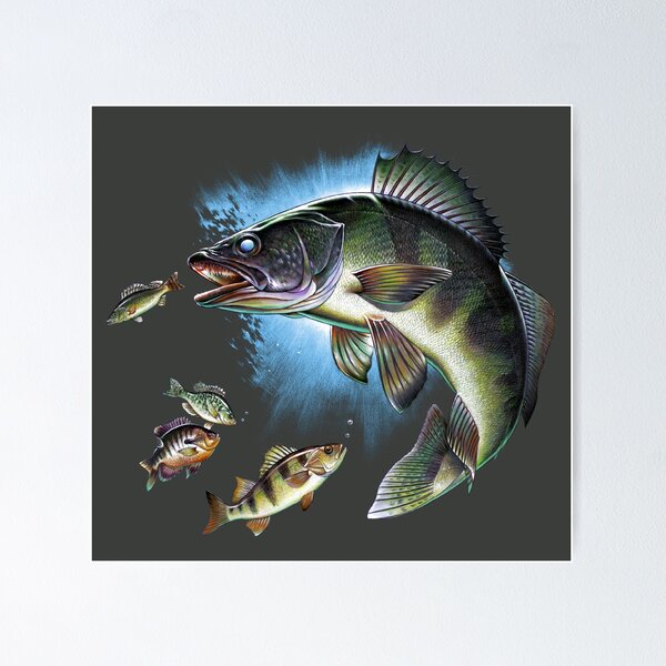 Freshwater Fish Wall Art for Sale
