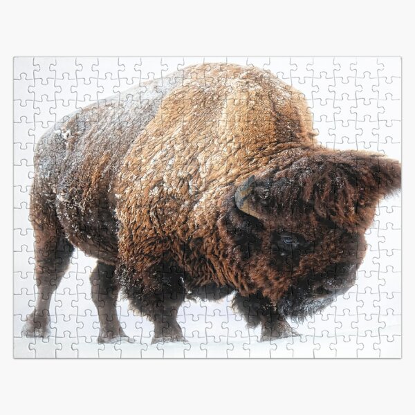 The Wyoming Cowboys Football Team Entering the Field Jigsaw Puzzle