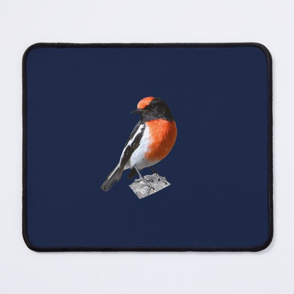 Red-capped Robin 5 Mouse Pad