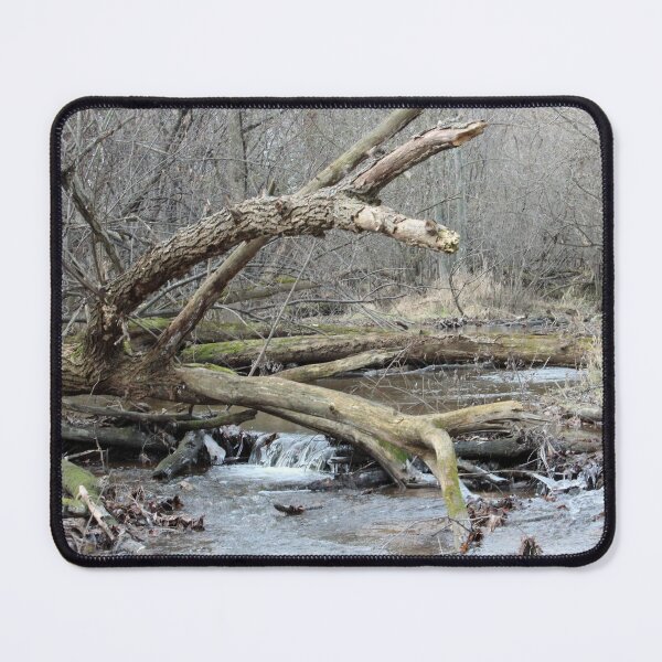 Item preview, Little Waterfall in the Forest designed and sold by Susie Kramer.