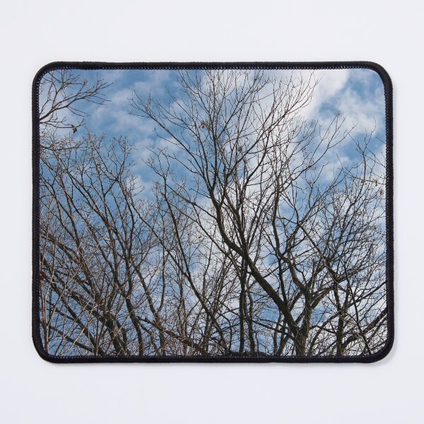 Item preview, Blue Skies and Bare Branches designed and sold by Susie Kramer.
