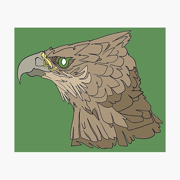 National Animal of Armenia: Golden Eagle National Animal of Armenia: Golden Eagle