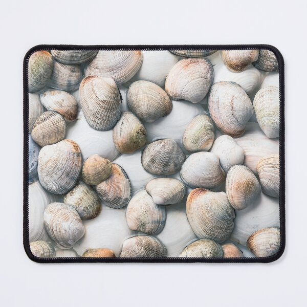 Item preview, Seashells in Pastel Tones designed and sold by Amy Mitchell.