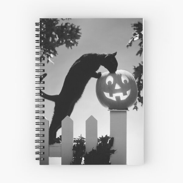 Item preview, Black Cat and Halloween Jack O Lantern Pumpkin designed and sold by ScienceSource.