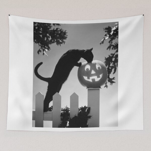 Item preview, Black Cat and Halloween Jack O Lantern Pumpkin designed and sold by ScienceSource.