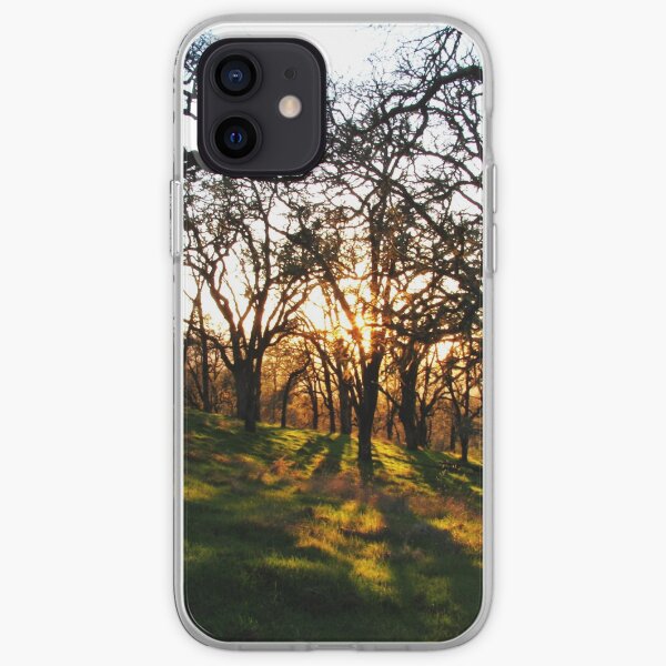 Sunlight in the Oaks iPhone Soft Case