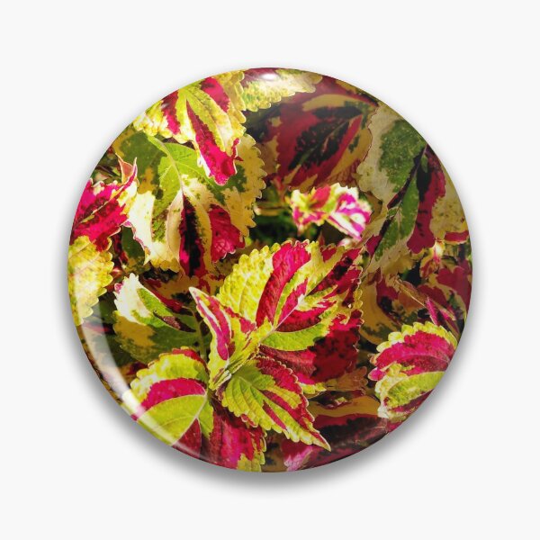 Item preview, Summer Yellow Red Green Solenostemon Flower Photography Design designed and sold by Nita Sophian.