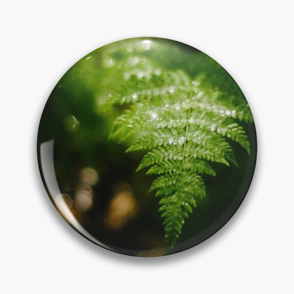 Item preview, Sparkling Fern designed and sold by emilywayland.