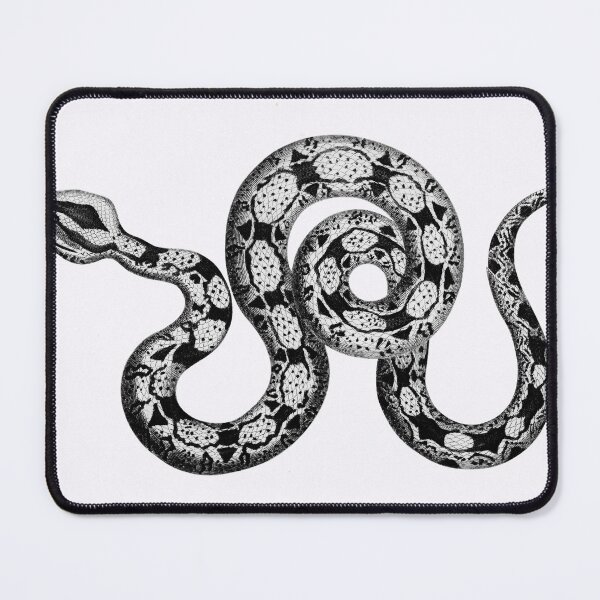 Item preview, Snake Painting  designed and sold by newburyboutique.