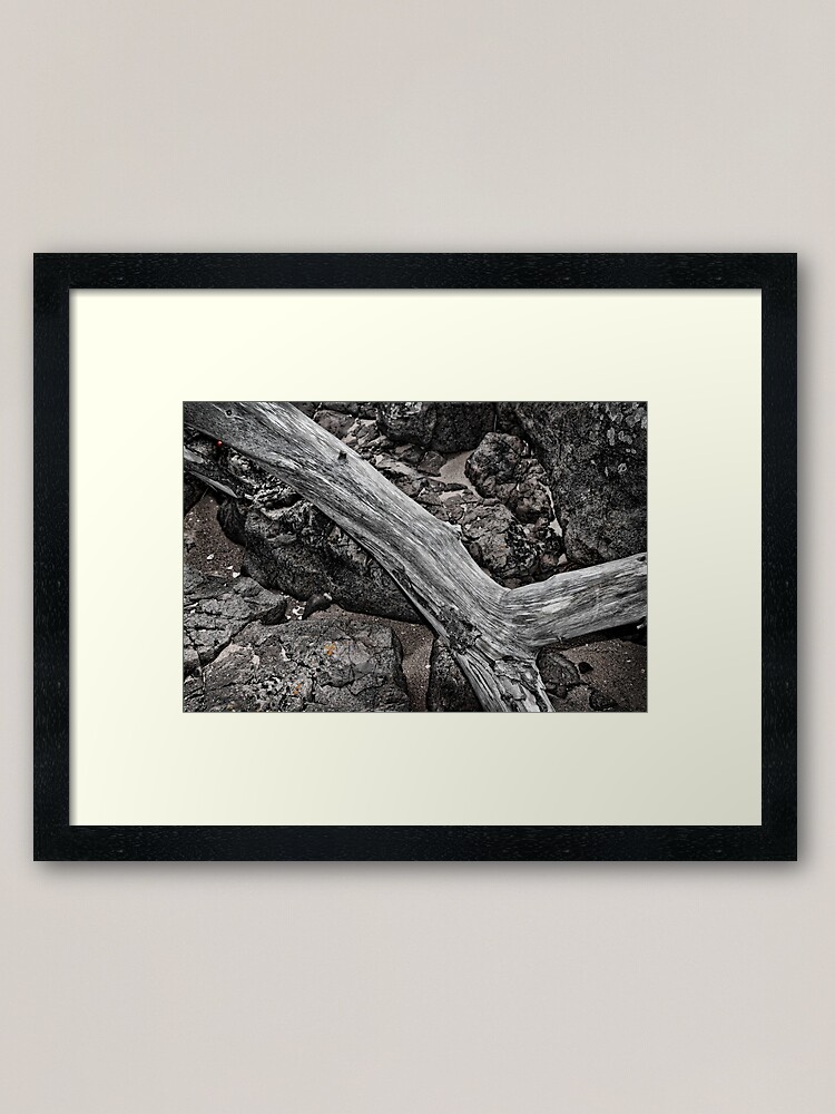 Alternate view of Driftwood Framed Art Print