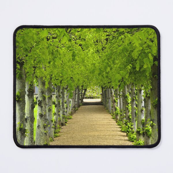 Item preview, Romantic French Garden designed and sold by newburyboutique.