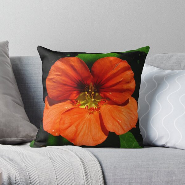 Orange nasturtium flower Throw Pillow