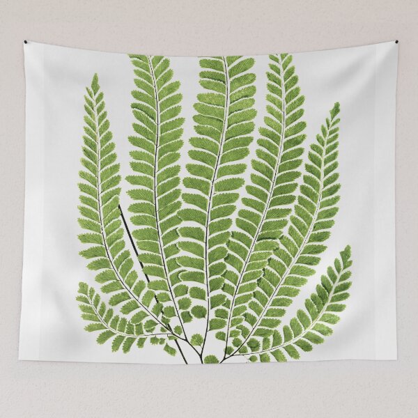 Item preview, Vintage Botanical Fern Illustration No. 2 designed and sold by maculver96.