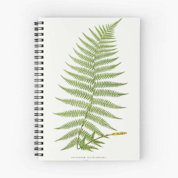 Item preview, Vintage Botanical Fern Illustration No. 3 designed and sold by maculver96.
