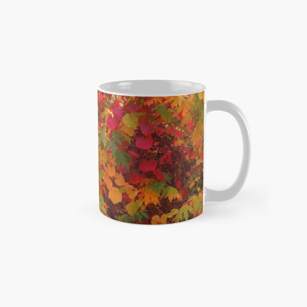 Autumn foliage on California grape vines Classic Mug