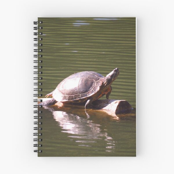 Item preview, Pond turtle designed and sold by krissaklein.