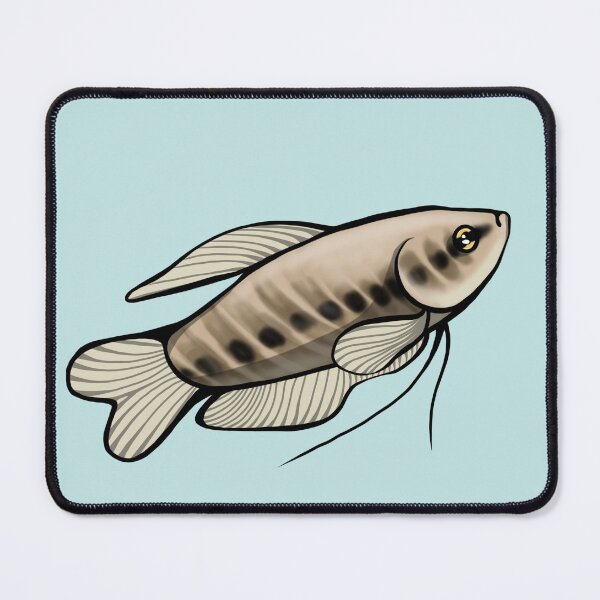 Item preview, Snakeskin Gourami designed and sold by PaperBaker.