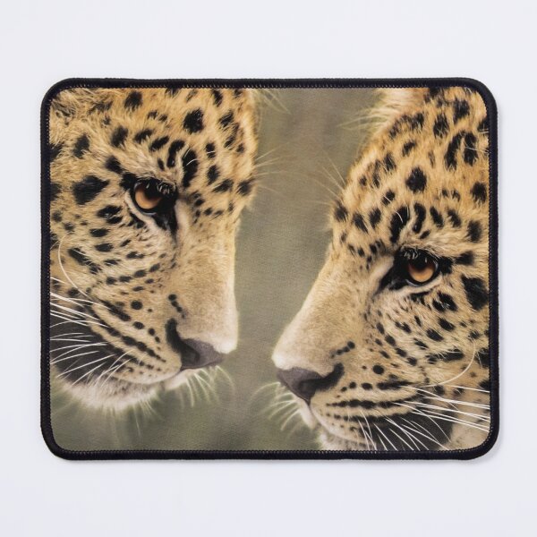 Item preview, Two Leopards Face to Face designed and sold by KbytesOfJax Outdoor and Nature.