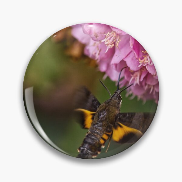 Item preview, Hummingbird Moth designed and sold by justchui.