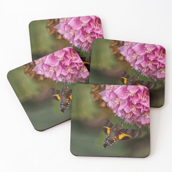 Item preview, Hummingbird Moth designed and sold by justchui.