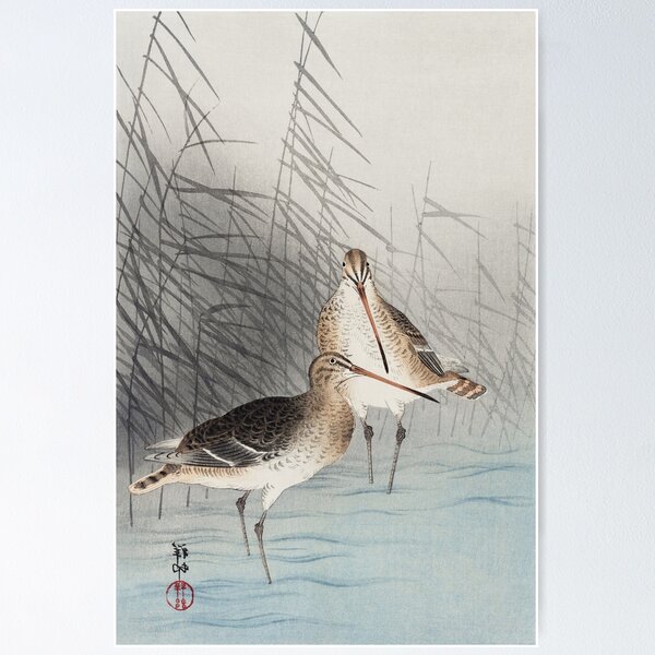 Item preview, Two Bar-Tailed Godwits by Ohara Koson - Japanese Vintage Artwork designed and sold by Purrfecta.