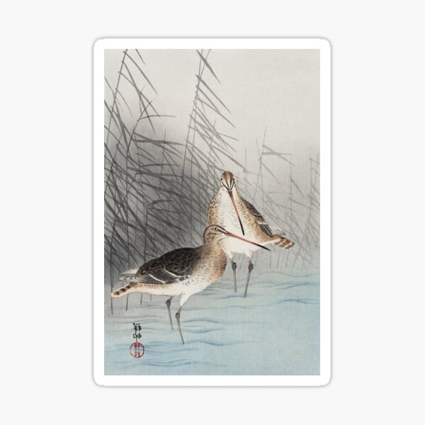 Item preview, Two Bar-Tailed Godwits by Ohara Koson - Japanese Vintage Artwork designed and sold by Purrfecta.