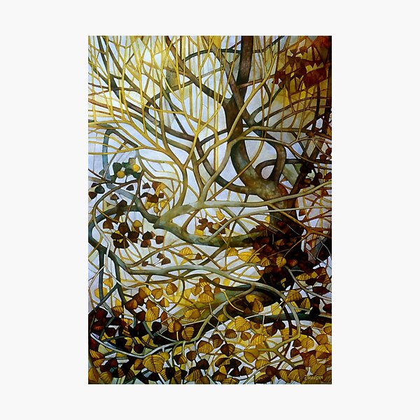yellow leaves Photographic Print