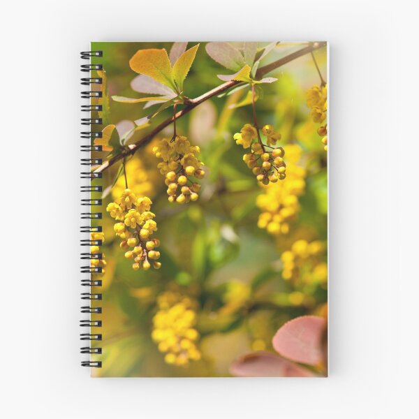 Item preview, Berberis yellow flowering shrub designed and sold by Arletta Cwalina.