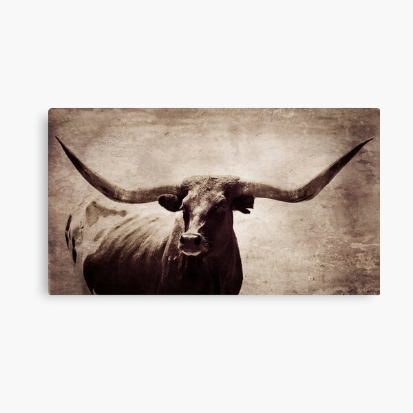 Item preview, Rustic Brown Longhorn long picture edit designed and sold by Alchymie.