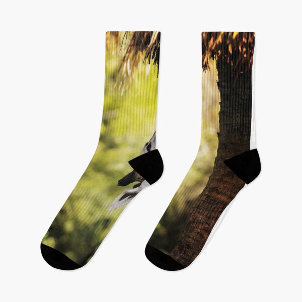Item preview, Giraffe Reaches for Overhead Leaves designed and sold by KbytesOfJax Outdoor and Nature.