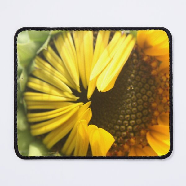 Artikelvorschau, Sonnenblume wacht auf entworfen und verkauft von Gwenn Seemel.