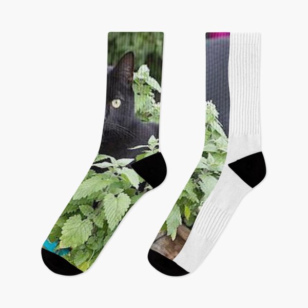 Item preview, Cat in a Plant designed and sold by lalaroseeeee.