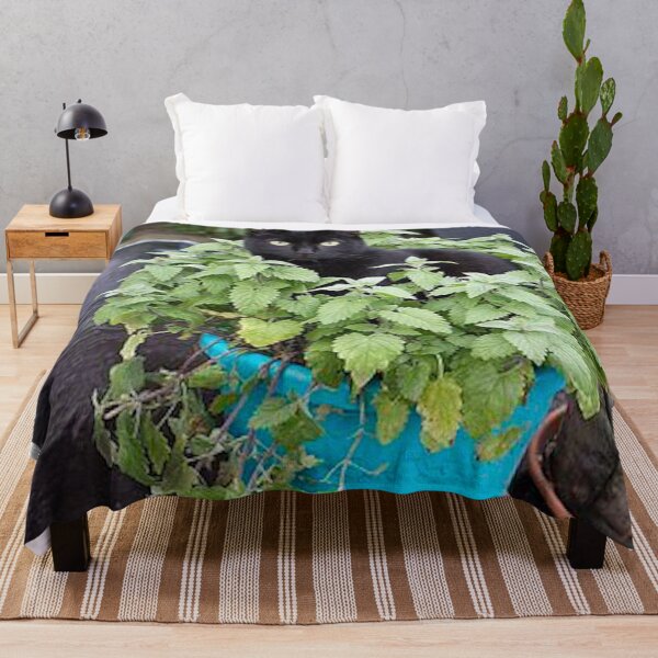 Item preview, Cat in a Plant designed and sold by lalaroseeeee.