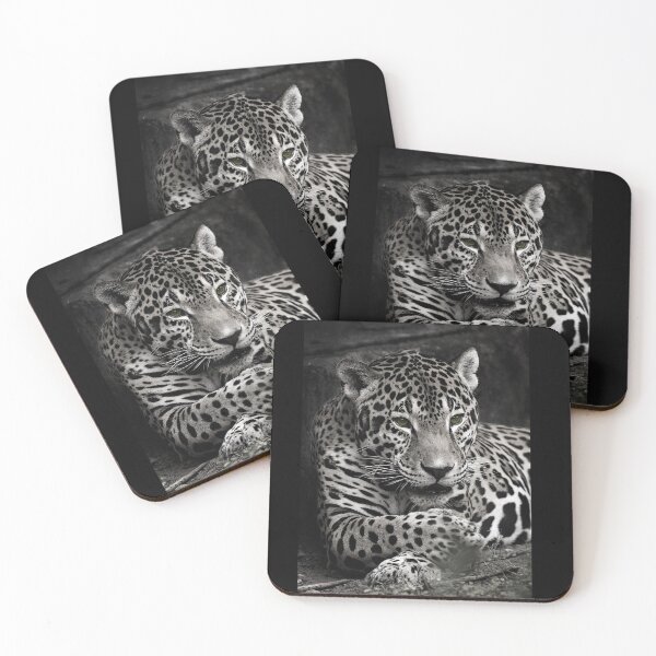 Item preview, Reposed Jaguar Portrait  designed and sold by KbytesOfJax Outdoor and Nature.