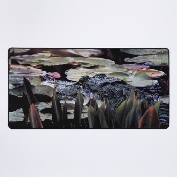 Item preview, Gator in Lilli pads of Okefenokee Swamp designed and sold by KbytesOfJax Outdoor and Nature.