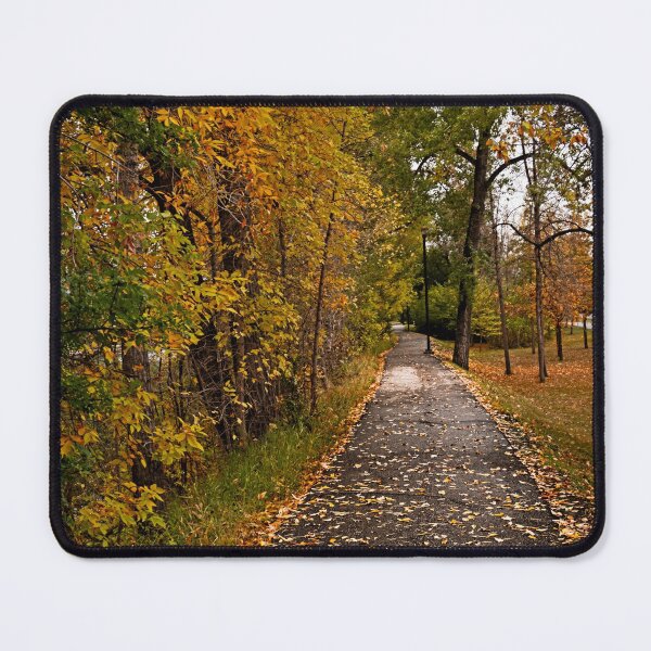 Artikelvorschau, Herbstspaziergang in Calgary entworfen und verkauft von Catherine Reading.