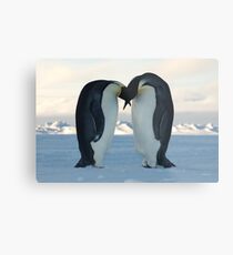 Emperor Penguin Courtship Metal Print