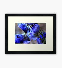 Pedals Framed Print