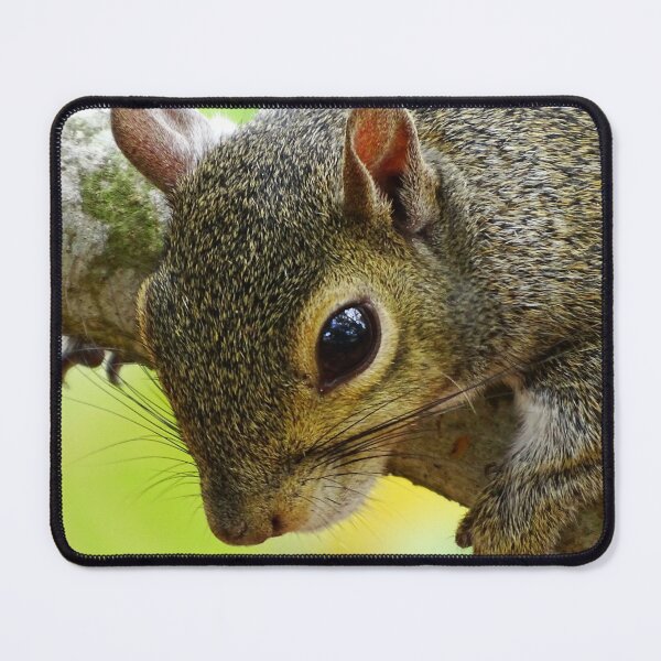 Item preview, Cute Squirrel #0002 designed and sold by Jeffrey Mask.