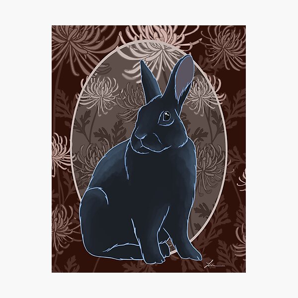 Chrysanthebun Photographic Print